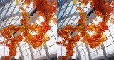 Chihuly 2 stereo.jpg