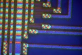 100x DIC microcontoller 1.jpg