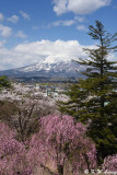 Mt. Iwaki DSC_6749