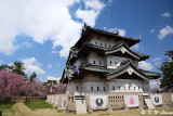 Hirosaki Castle DSC_6730