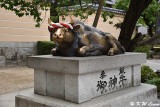 God ox statue in front of Dazaifu Tenmangu DSC_8829