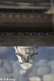 Reflection of Guan Yin statue DSC_5076