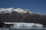 Grand Pacific Glacier DSC_4784