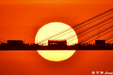 Sunset @ Ting Kau Bridge DSC_5699