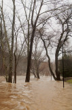 flood_2018