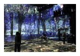 Light Show in lAtelier des Lumires Paris 2018 - 19