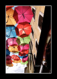 Umbrella street 6