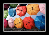 Umbrella street 10
