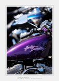 Harley-Davidson 5