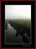 In the Charentonne rivers valley