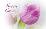 Happy Easter P1180738