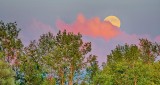Thunder Moon Rising P1210902-4