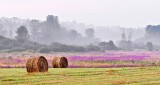 Bales & Ground Fog P1220811