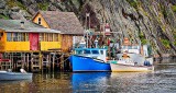 Quidi Vidi P1240736