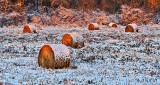 Snow-capped Bales At Sunrise P1270721-3