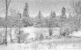 Winterscape DSCN18386 Art