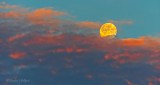Moon Setting Into Sunrise Cloud Bank DSCN24132-3