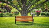 Garden Bench DSCN25347-9