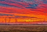 Red Sky At Sunrise P1350035-41