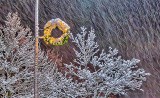 Light Pole Holiday Wreath In Falling Snow P1350638-40