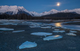Dancing in the moon light -7214.jpg