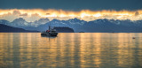 Last light-0362.jpg