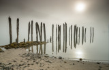 foggy morn sandy beach-3579.jpg