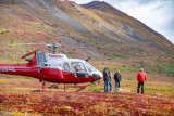 2_Tundra_6075.jpg