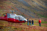 tundra_good_6081.jpg