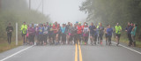 HH_20184001.jpg