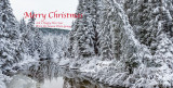 Merry Christmas 2018_2018.jpg