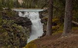 Athabasca Falls 