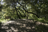 Rest Spot