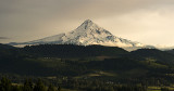 Mount Hood
