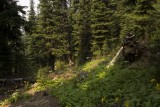 Buckskin Ridge Trail