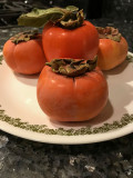 Fall Crop