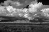 After the Stormy weather