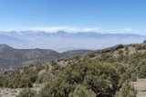 Sierra View Overlook from White Mountain Road