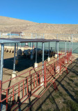 Reseach high altitude Sheep pen