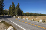 Toulomne Meadows - Yosemite