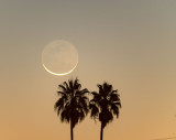 Waning Crescent Moon Rising