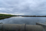 Calm at the Baylands