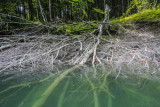 Bieszczady Solina - spring '18