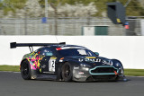 _MGP7174W.jpg