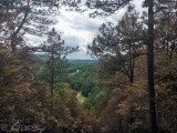 Cooper's Furnace overlook immediately post-fire: Bartow Co., GA