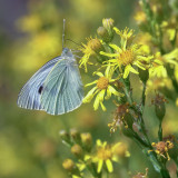 DSC00023.jpg