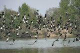 DSC00103.jpg