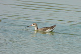 DSCN0956.jpg