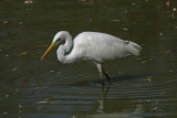 DSC00570.jpg