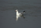 DSCN1083.jpg